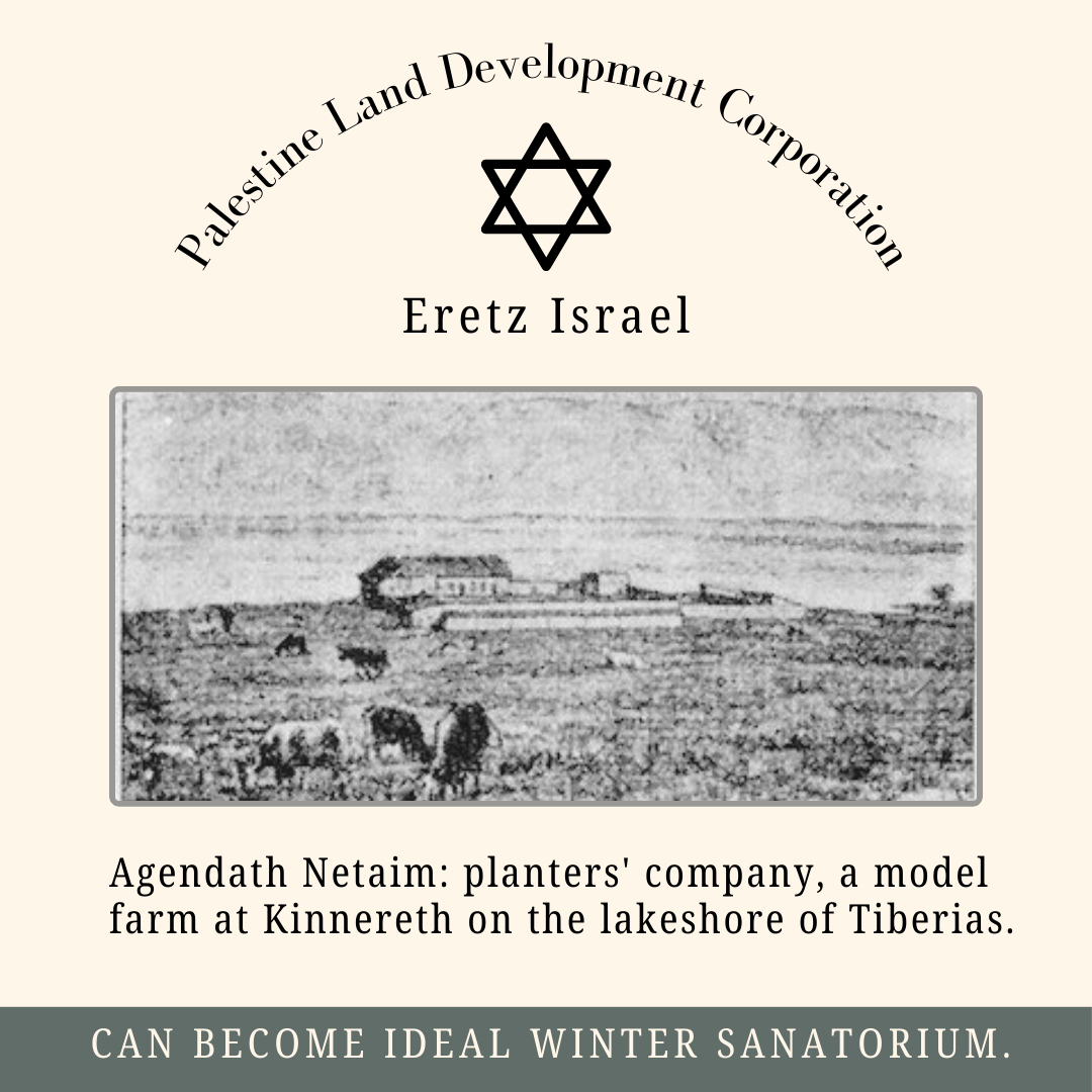 Agendath Netaim planters' company prospectus, Eretz Israel